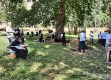 آغاز رویداد منطقه‌ای روز جهانی چوب در کرمانشاه