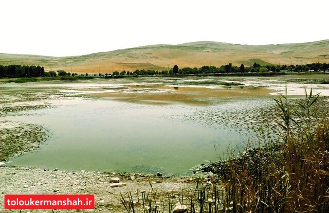 حال “تالاب هشیلان” و “سراب نیلوفر” خوب است