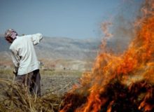 افزایش ۲۰ برابری وسعت آتش‌سوزی‌های امسال کرمانشاه/ تا اول آبان خطر جدی است