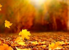 افسردگی در سایه تغییر فصل