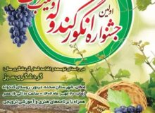 جشنواره “انگور کندوله” و “سیب سرتخت” برگزار می‌شود