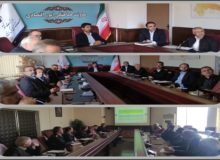 برگزاری جلسه ویژه ستاد آنفلوانزای فوق حاد پرندگان استان کرمانشاه