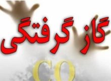 “قاتل خاموش” جان ۲ نفر را در سنقر گرفت