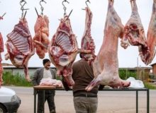 گزارش‌هایی از عرضه دام مُردار از قصابی های غیرمجاز ارائه می شود