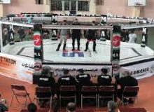 پیگیر برگزاری مسابقات بین المللی MMA در کرمانشاه هستیم
