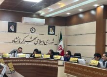 اعضاء کمیسیون های خارجی شورای اسلامی شهر کرمانشاه مشخص شد