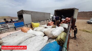 کشف محموله قاچاق در گمرک پرویزخان/ هویچ، کنگر از آب درآمد
