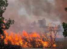 آتشسوزی در منطقه حفاظتشده بیستون مهار شد