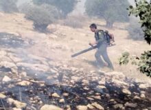 ۱۰ هکتار از مراتع جنگلی گیلانغرب در آتش سوخت