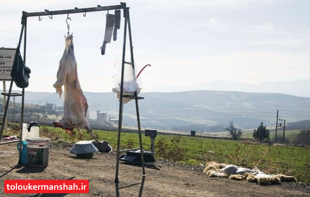 کشتار خیابانی دام تهدیدی جدی برای سلامت شهروندان است