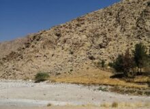 امیدواری برای حیات «هشیلان» تا شروع فصل بارندگی