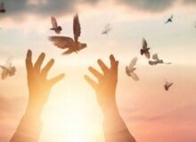 آزادی ۶۵۰۰ زندانی جرائم غیرعمد در کشور
