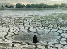 مرگ «نیلوفر» در سراب، سودجویان متهم ردیف اول