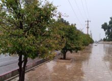 ثبت بارش ۲۴/۲ میلی‌متر باران در شهرستان گرمسیر قصرشیرین