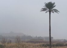 بخار موجود در هوا دید افقی را در قصرشیرین کاهش داد