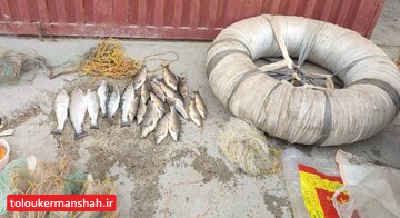 صیادان غیرمجاز در سد آناهیتا کنگاور دستگیر شدند