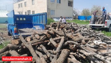 ۳۸۰۰ کیلوگرم چوب قاچاق بلوط در دیزلآباد کرمانشاه کشف و ضبط شد