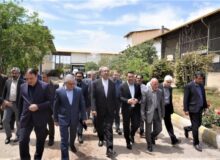 اقدامات کرمانشاه برای تقویت صنعت و توسعه اقتصادی؛ از صادرات شیرین‌بیان تاپروژه‌های سوختی