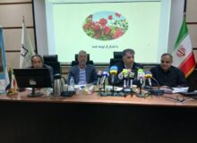 پزشک خانواده در کرمانشاه وارد فاز اجرایی میشود/ ۴ ویزیت رایگان و کاهش هزینههای درمان برای مردم