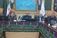 حمایت از تولید بدون نظارت نتیجه نمیدهد/ دستور ویژه برای جلوگیری از بحران در بازار شویندهها