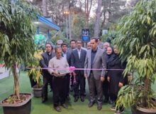 پانزدهمین نمایشگاه سراسری «گل و گیاه» در کرمانشاه آغاز به کار کرد