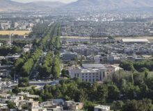 درختان شهر کرمانشاه شناسنامه‌دار می‌شوند