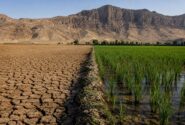 از بحران آب تا بحران پشه؛ هشدار جدی برای شرق کرمانشاه