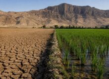 از بحران آب تا بحران پشه؛ هشدار جدی برای شرق کرمانشاه