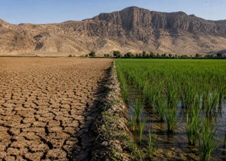 از بحران آب تا بحران پشه؛ هشدار جدی برای شرق کرمانشاه