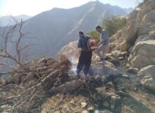 پایان حریق در منطقه شکار و تیراندازی ممنوع «لهون» شهرستان پاوه