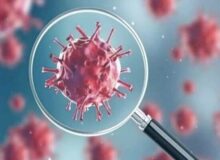 نمونه‌های مثبت کووید-۱۹ برای پنجمین هفته متوالی افزایشی شد