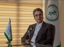 نخود کرمانشاه نیازمند تکمیل زنجیره تولید/از مزرعه تا بازارهای جهانی